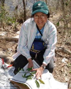 Rosa del C. Ortiz